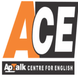 ACE Institute